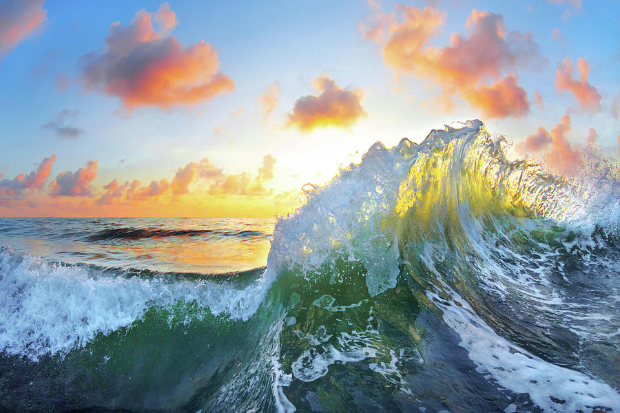 Ocean Bouquet