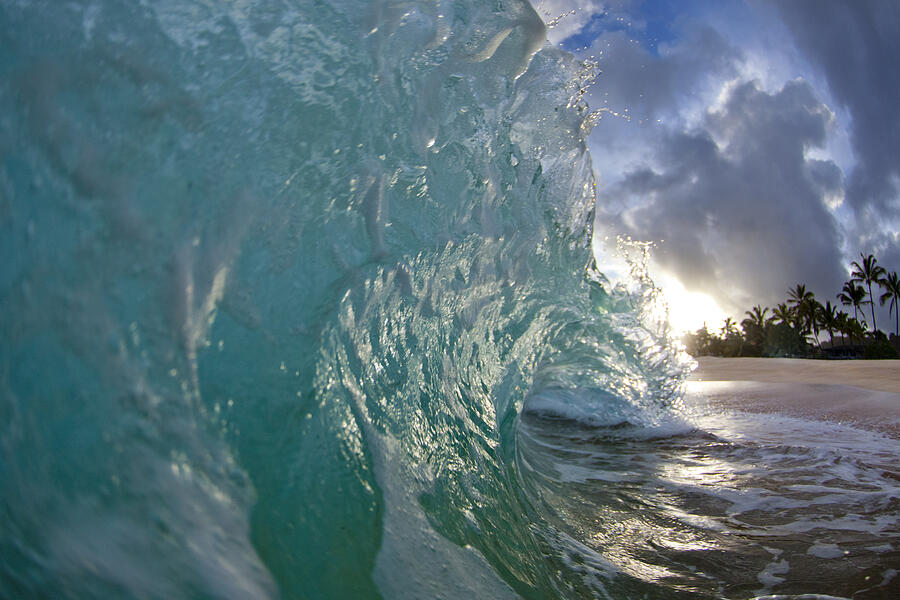 Coconut Curl 